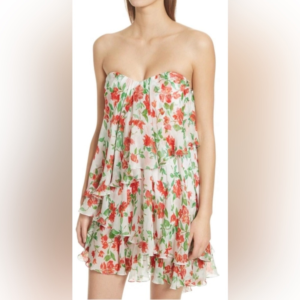 Caroline Constas Cleopatra Floral Print Strapless Ruffle Mini Cocktail Dress